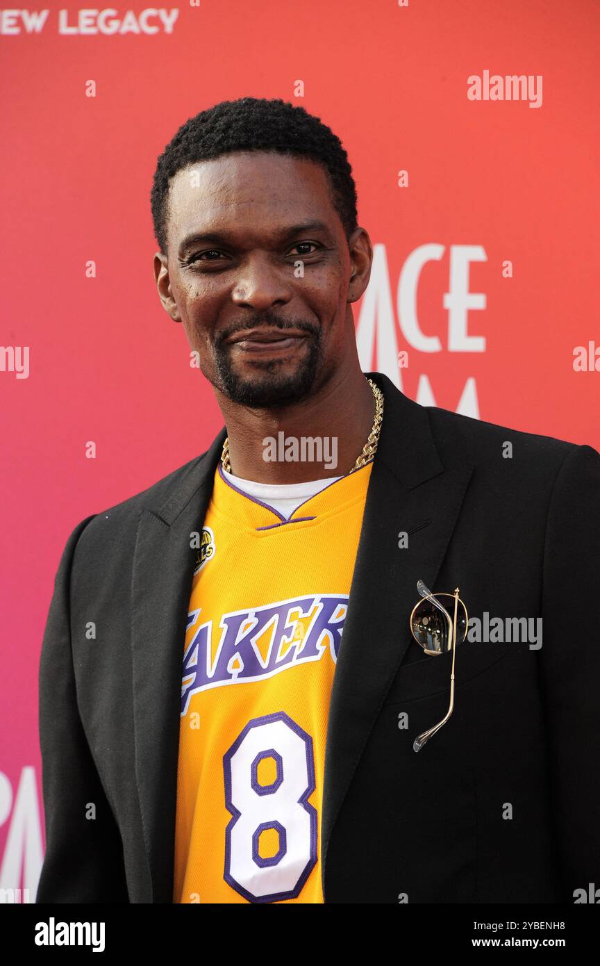 100+] Chris Bosh Wallpapers | Wallpapers.com, image size:864x1390