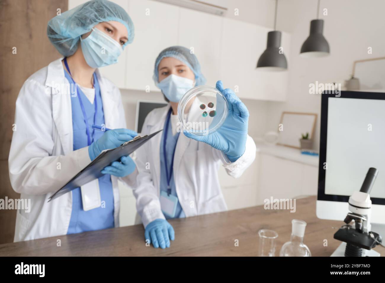 Female scientists working with Petri dish in laboratory Stock Photo - Alamy