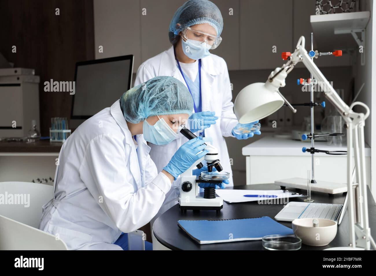 Female scientists working with microscope and Petri dishes in ...