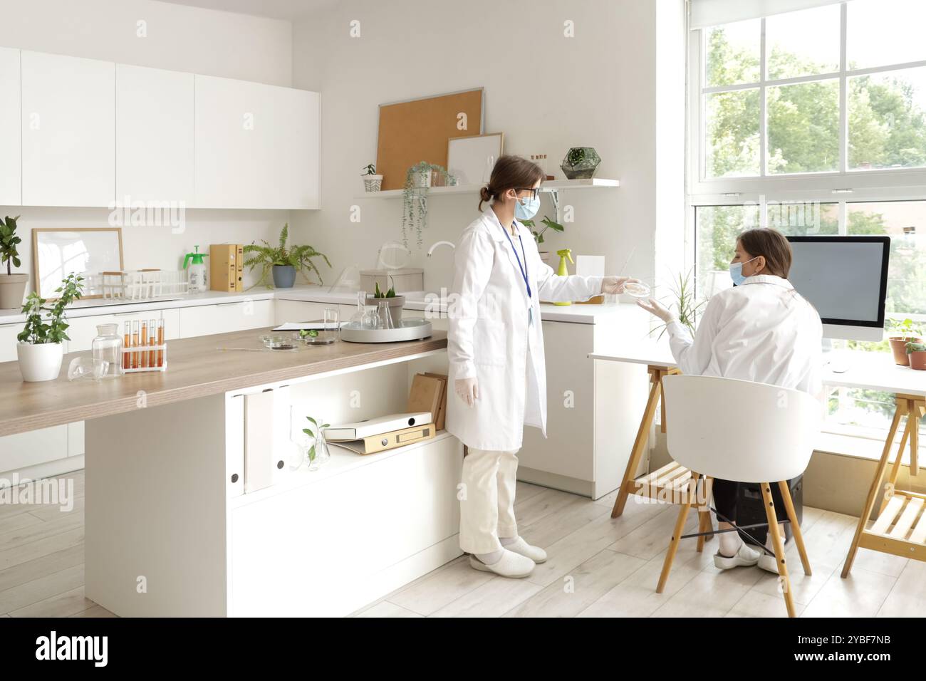 Female scientists working with Petri dish in laboratory Stock Photo - Alamy