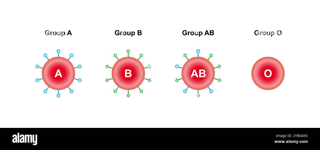 Abo blood group hi-res stock photography and images - Alamy