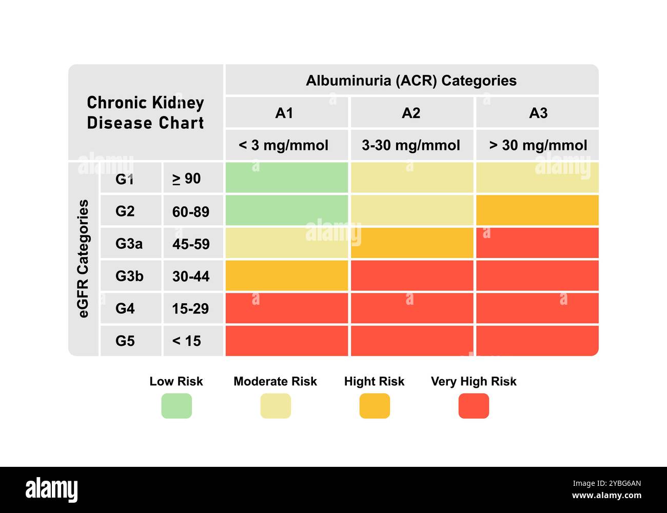Creatinine levels and kidney disease, illustration Stock Photo - Alamy