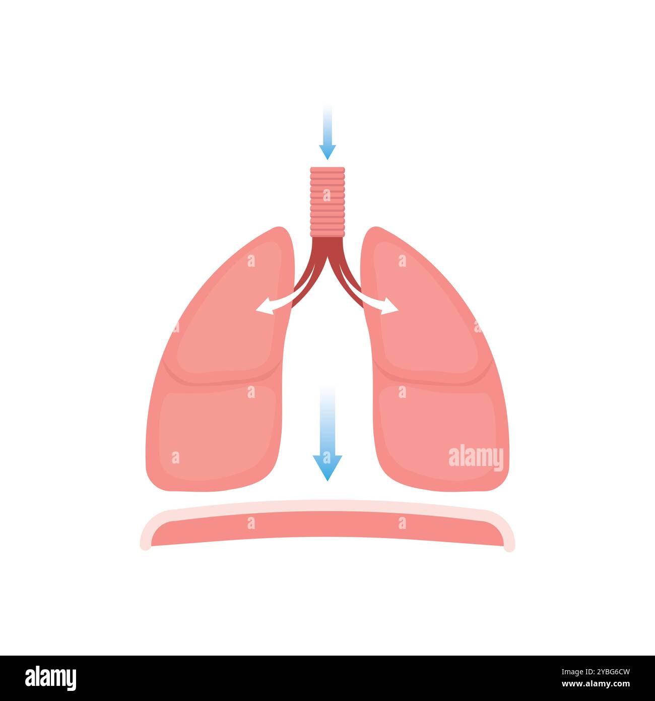 Do inhalation hi-res stock photography and images - Alamy