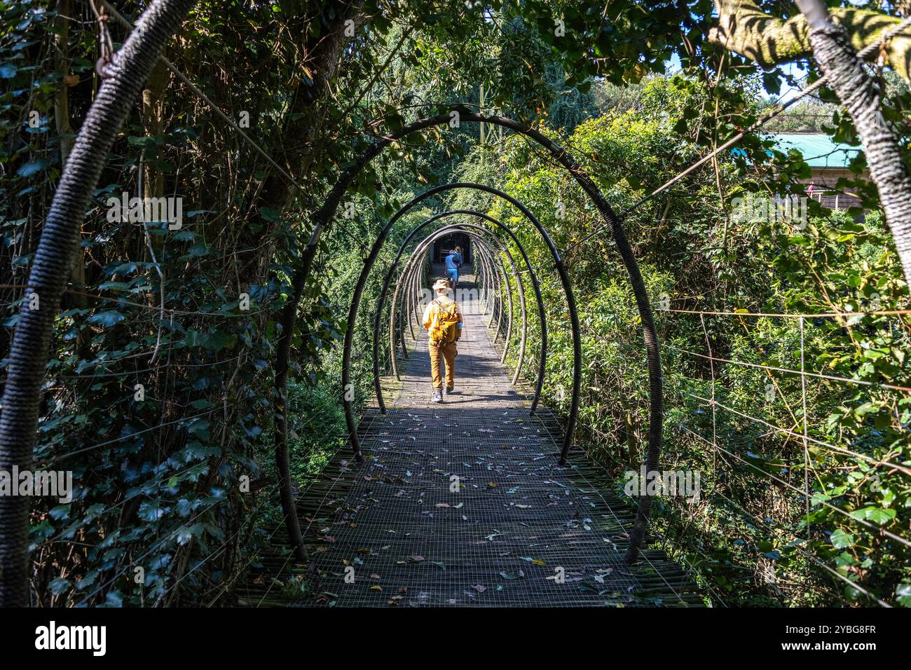 Curated visual reference: Gallery Detail: Visitors On A Walkway Bridge At The Birds Of Eden