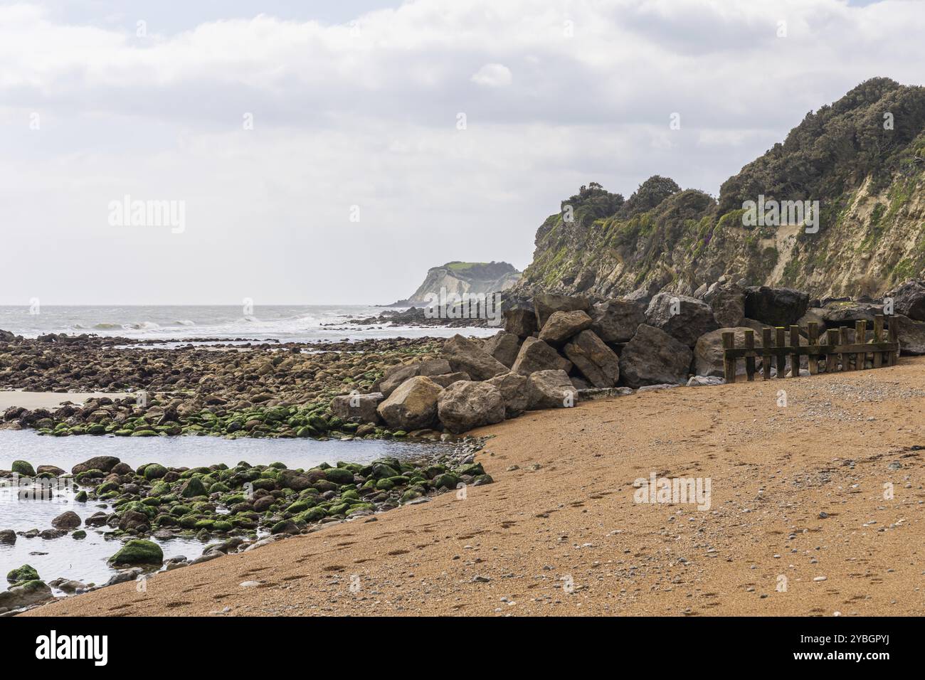 The channel coast at Steephill Cove Beach near Castle Cove, Isle of Wight, England, UK Stock Photo