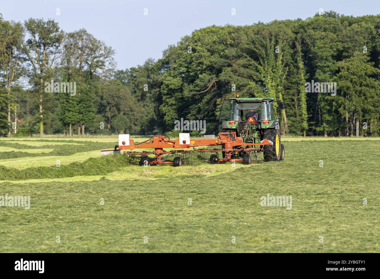 Kidder Machine Kidden from a freshly mowed lawn in the Netherlands with a green ...