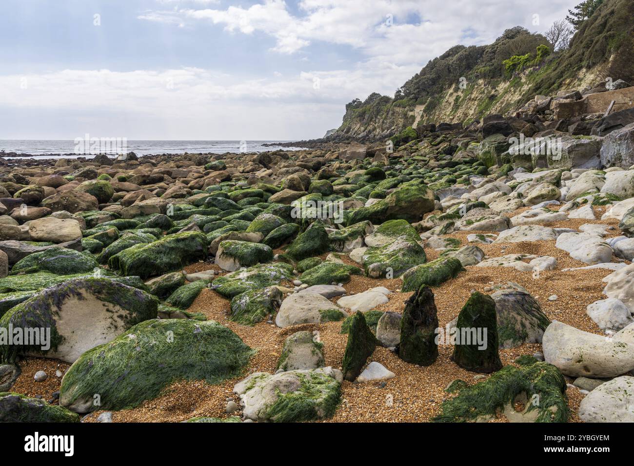 The channel coast at Steephill Cove Beach near Castle Cove, Isle of Wight, England, UK Stock Photo