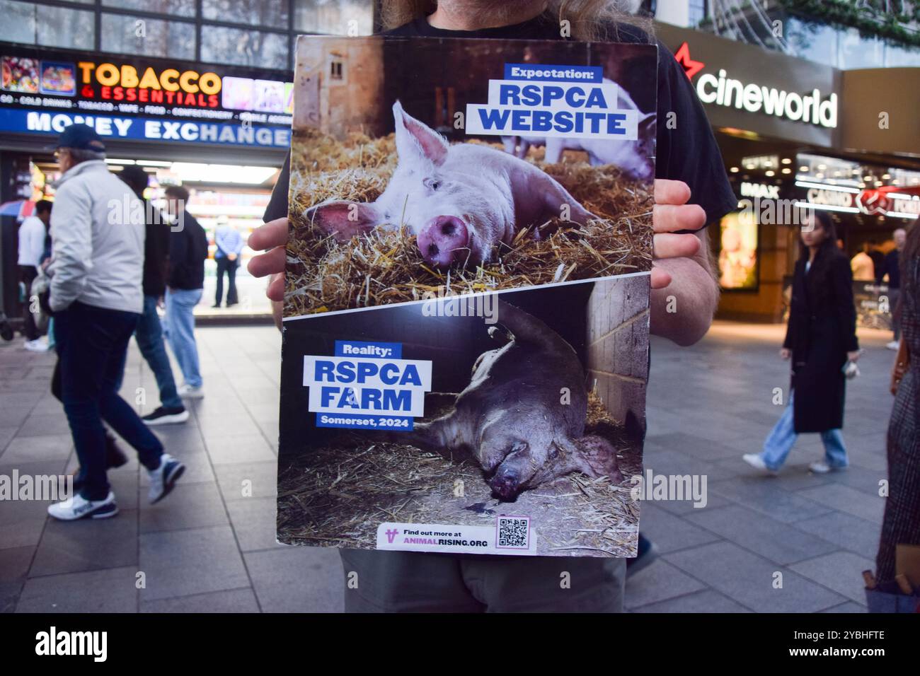 Damning evidence hires stock photography and images Alamy