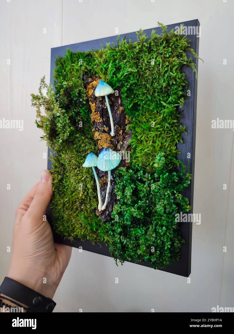 Moss Panel With Blue Mushrooms, Green Preserved Moss Lichen Black Frame, Small Fungi Wall Art, Handmade Clay Fungus, Botanical Home Decor - Smartphone Captured Stock Image