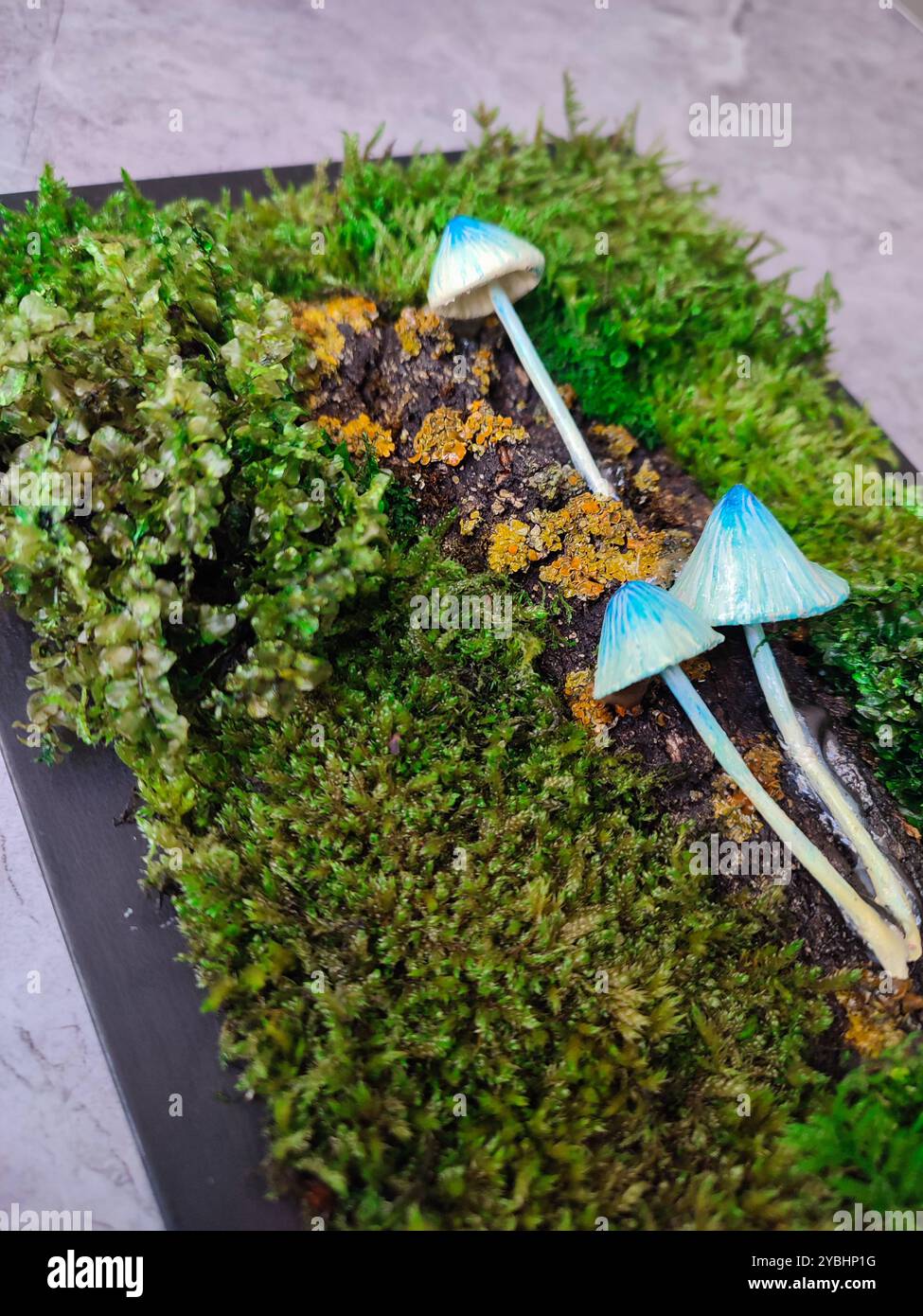 Moss Panel With Blue Mushrooms, Green Preserved Moss Lichen Black Frame, Small Fungi Wall Art, Handmade Clay Fungus, Botanical Home Decor - Smartphone Captured Stock Image