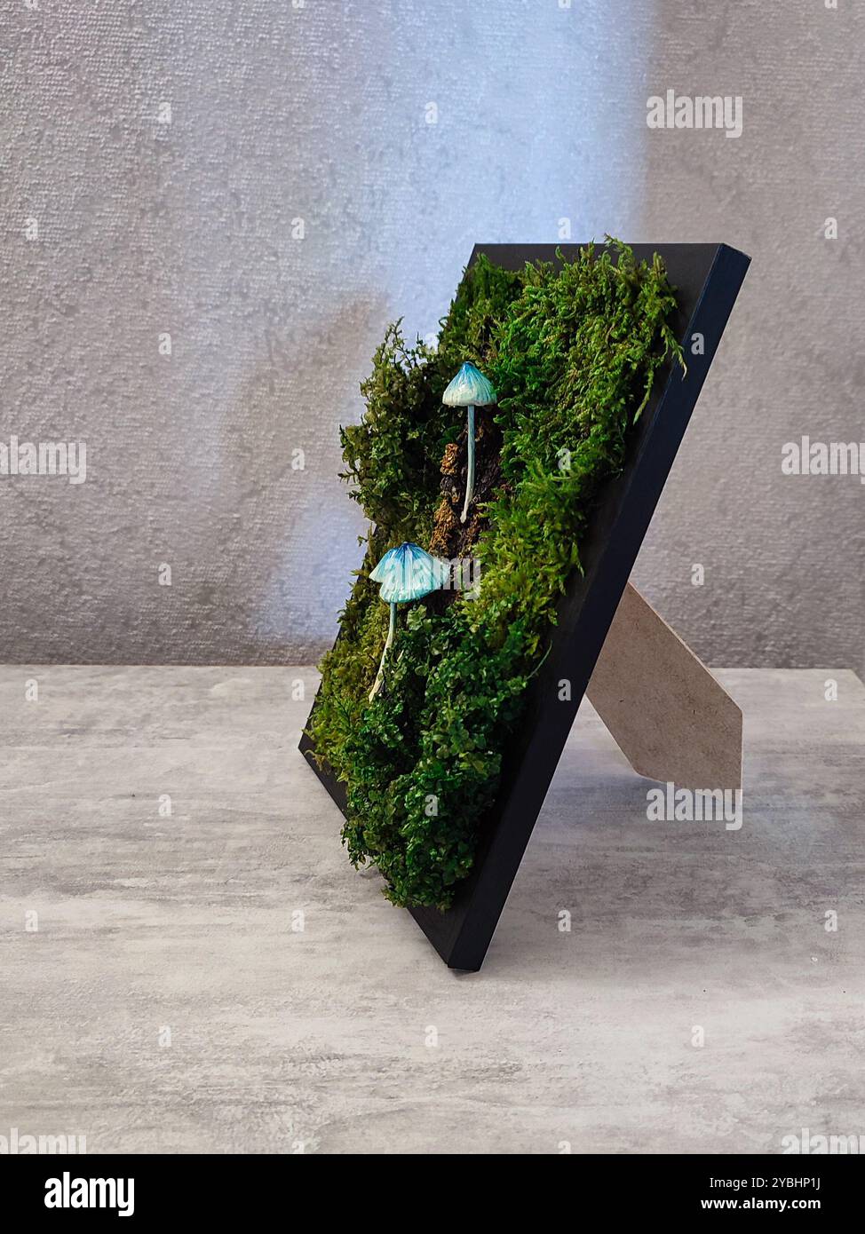 Moss Panel With Blue Mushrooms, Green Preserved Moss Lichen Black Frame, Small Fungi Wall Art, Handmade Clay Fungus, Botanical Home Decor - Smartphone Captured Stock Image