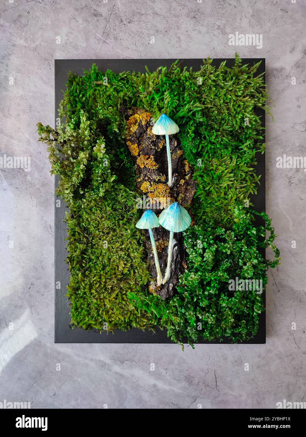 Moss Panel With Blue Mushrooms, Green Preserved Moss Lichen Black Frame, Small Fungi Wall Art, Handmade Clay Fungus, Botanical Home Decor - Smartphone Captured Stock Image