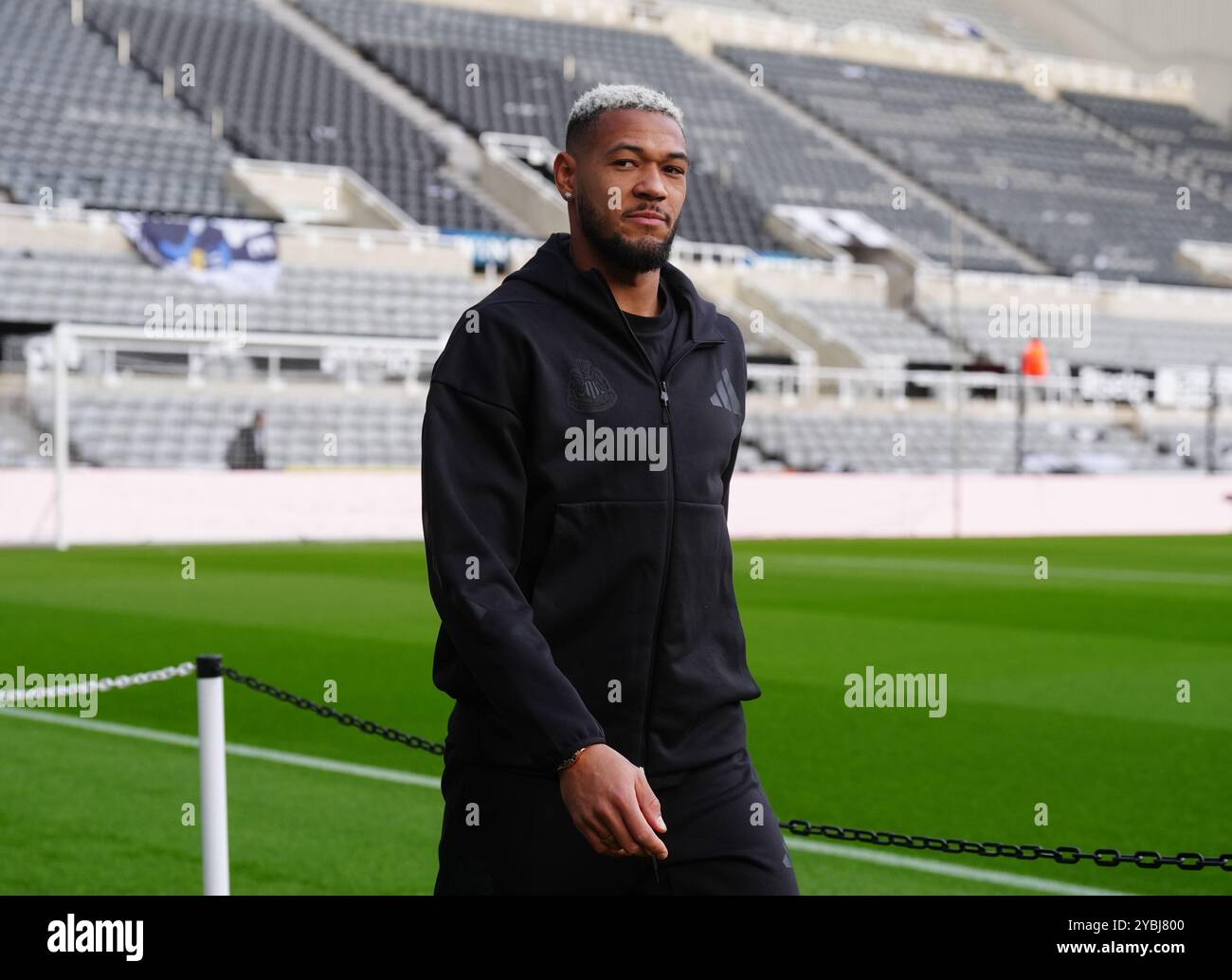Joelinton newcastle united 2024 hi-res stock photography and