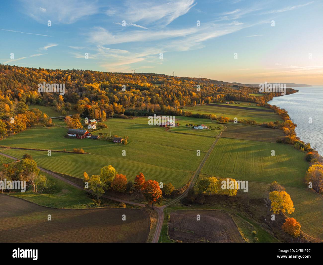 Autumn rural landscape in Sweden near Gränna, from above with vibrant colors and large open fields, at sunset. Orange, yellow and green trees, green o Stock Photo