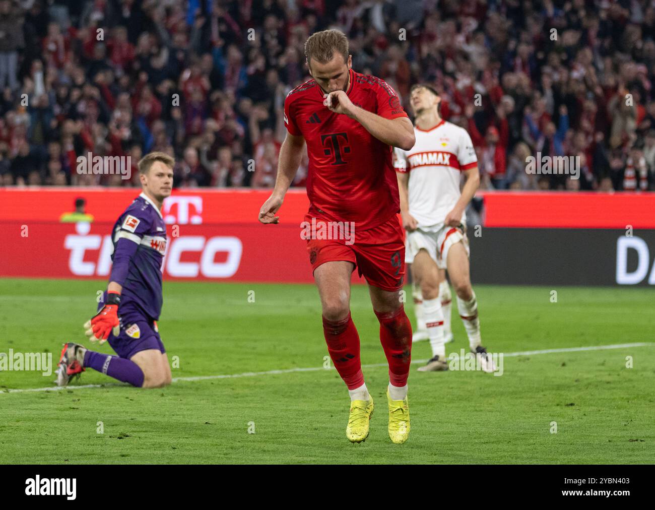 Harry Kane (FC Bayern Muenchen, #9) kuesst seinen Ring und feiert sein drittes Tor / Hattrick zum 3:0. Im Hintergrund ist Alexander Nuebel (Torwart, VfB Stuttgart, #33) bedient.  GER, FC Bayern Muenchen gegen VfB Stuttgart, Fussball, Bundesliga, 7. Spieltag, Spielzeit 2024/2025, 19.10.2024.  (DFL DFB REGULATIONS PROHIBIT ANY USE OF PHOTOGRAPHS as IMAGE SEQUENCES and or QUASI-VIDEO).  Foto: Eibner-Pressefoto/Heike Feiner Stock Photo