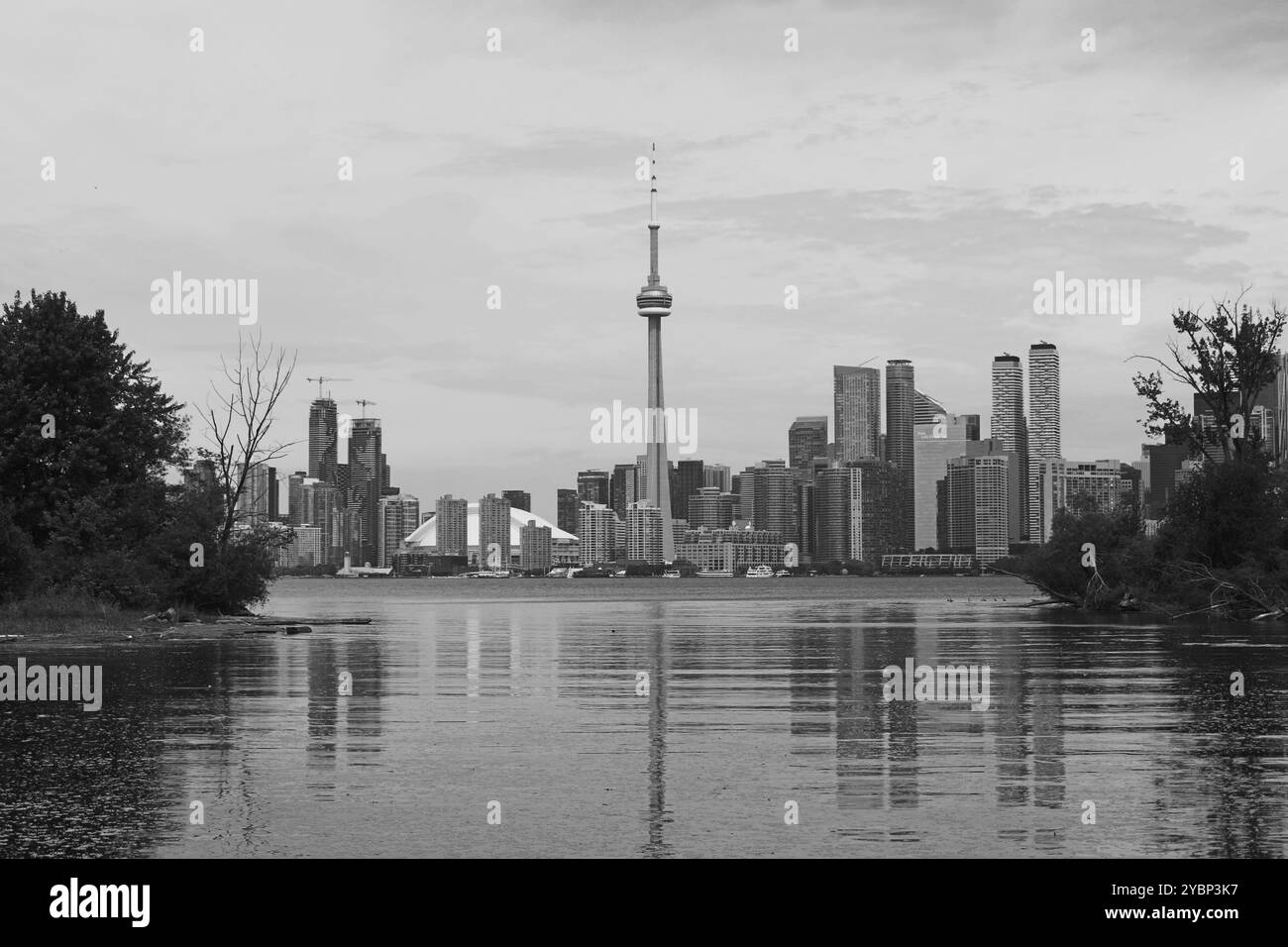 Toronto, ON, Canada - June 13th 2024: View across Lake Ontario from the Toronto Islands of the Toronto skyline including the CN Tower in the centre. Stock Photo