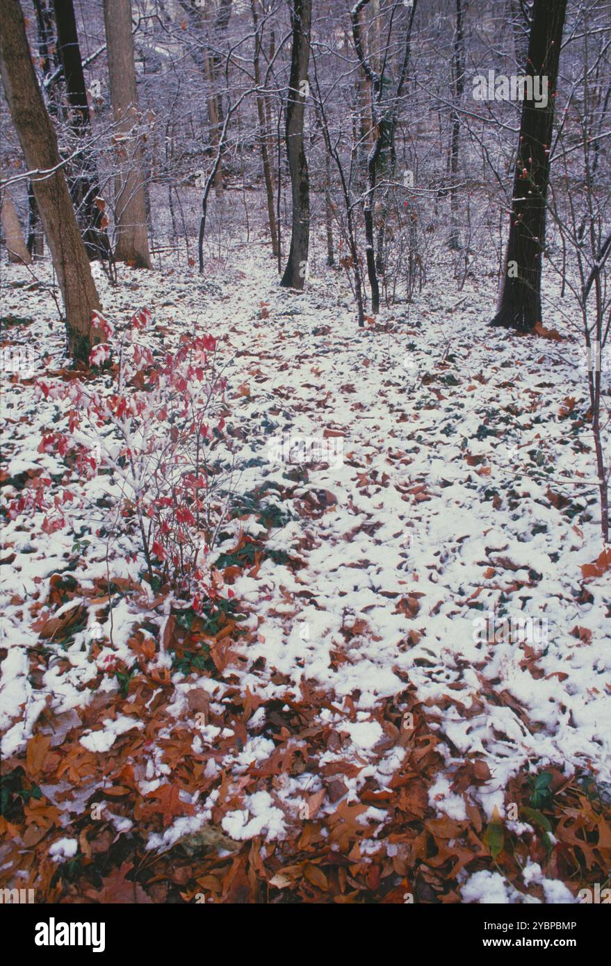 Winter seasonal landscape hi-res stock photography and images - Alamy