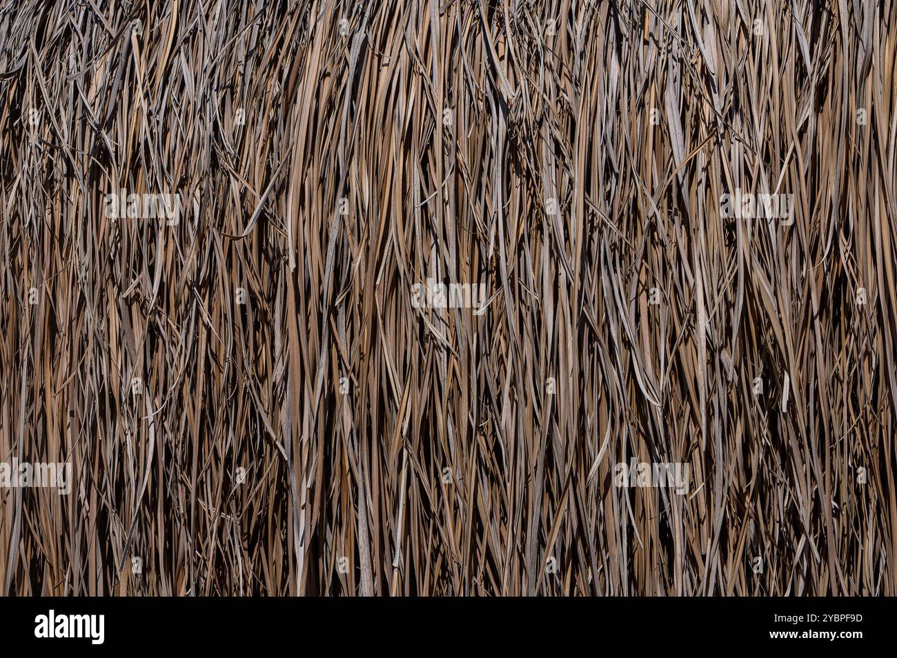 Tightly formed hi-res stock photography and images - Alamy
