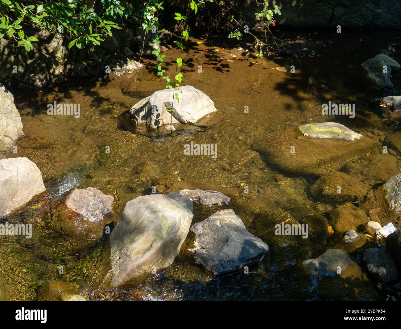 River With Large Rocks Clear river flow large rocky hi-res stock photography and images - Alamy