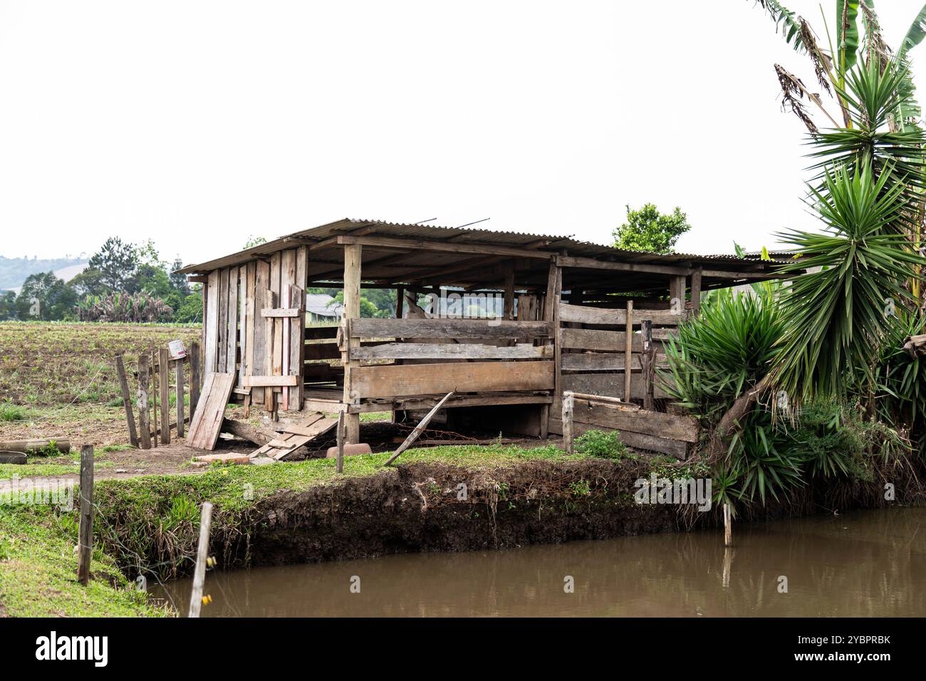 House for domestic pigs hi-res stock photography and images - Alamy