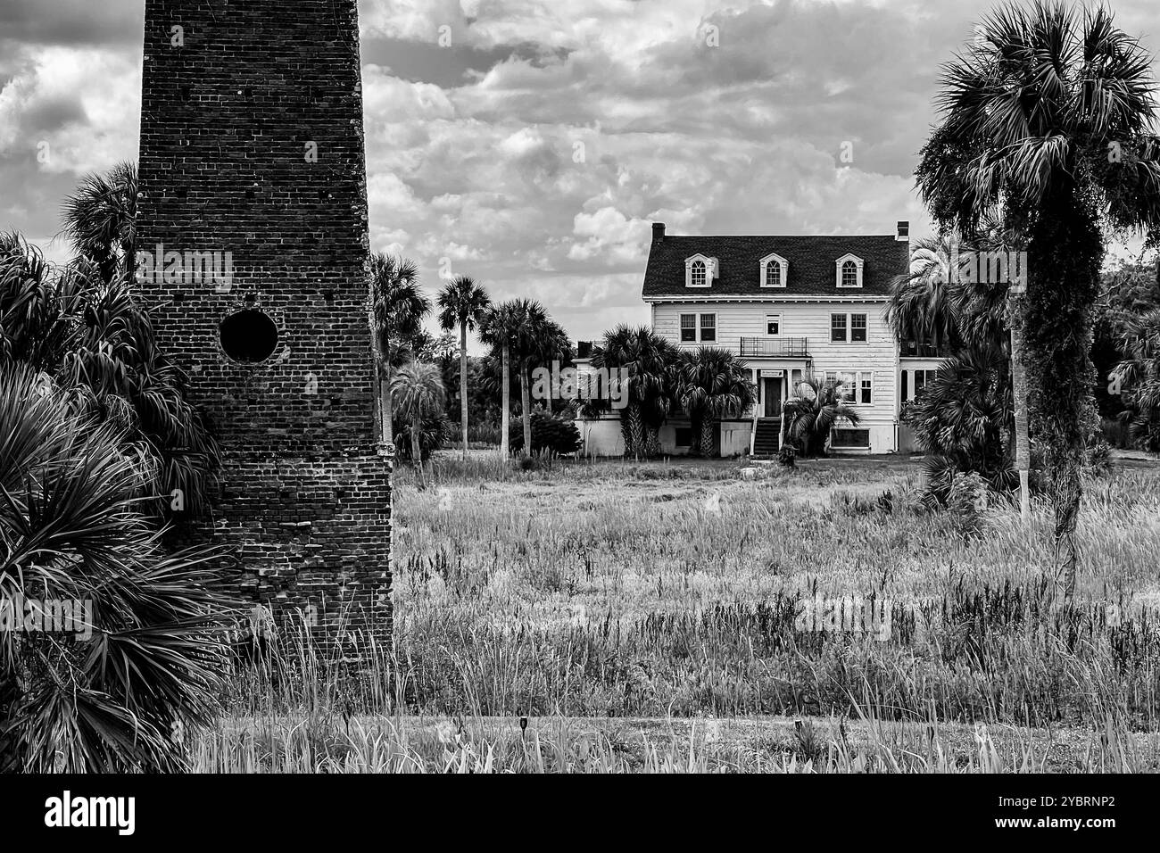 Butler Island Plantation, Darien, Georgia, USA - Smartphone Captured Stock Image