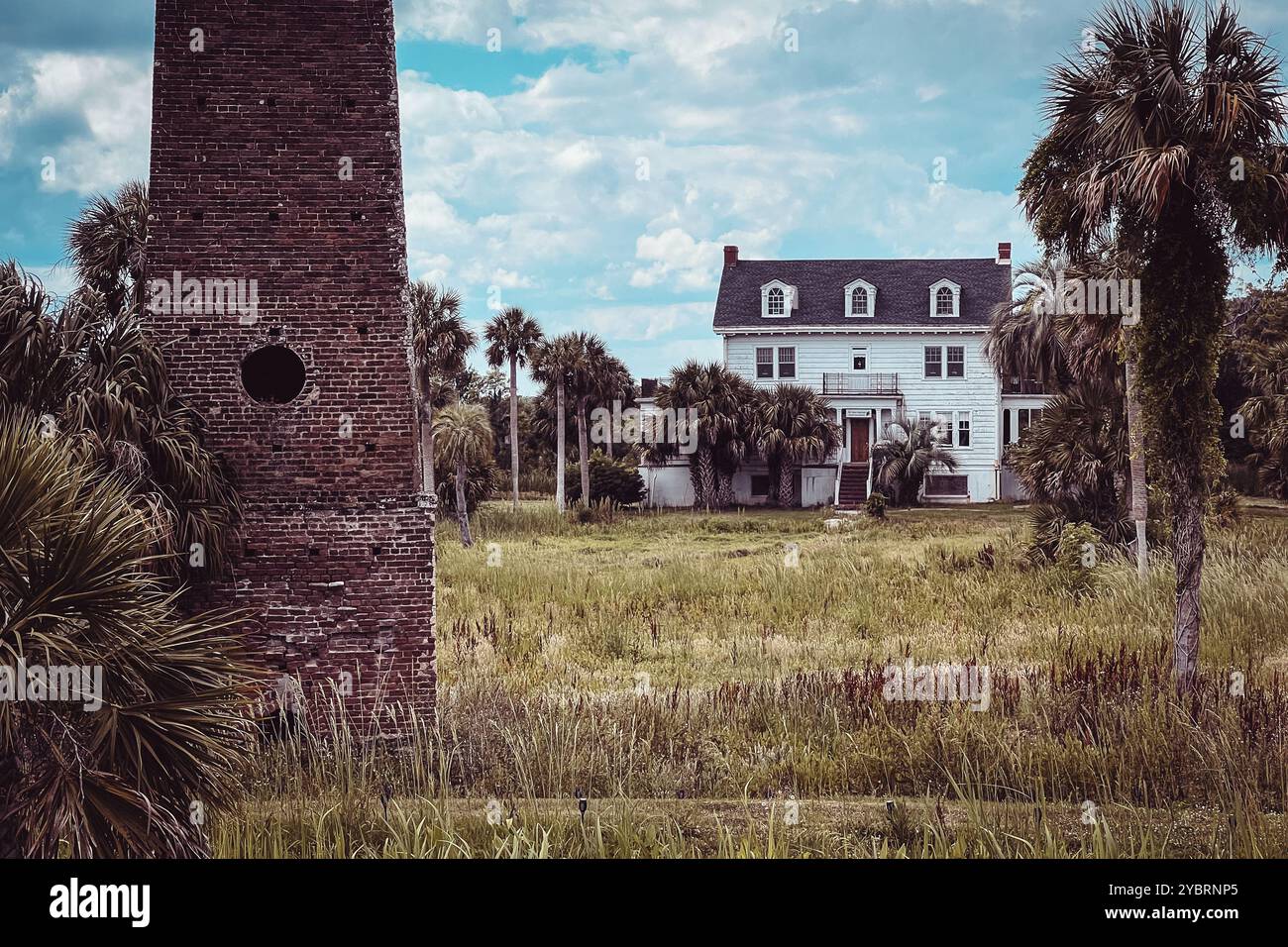 Butler Island Plantation, Darien, Georgia, USA - Smartphone Captured Stock Image
