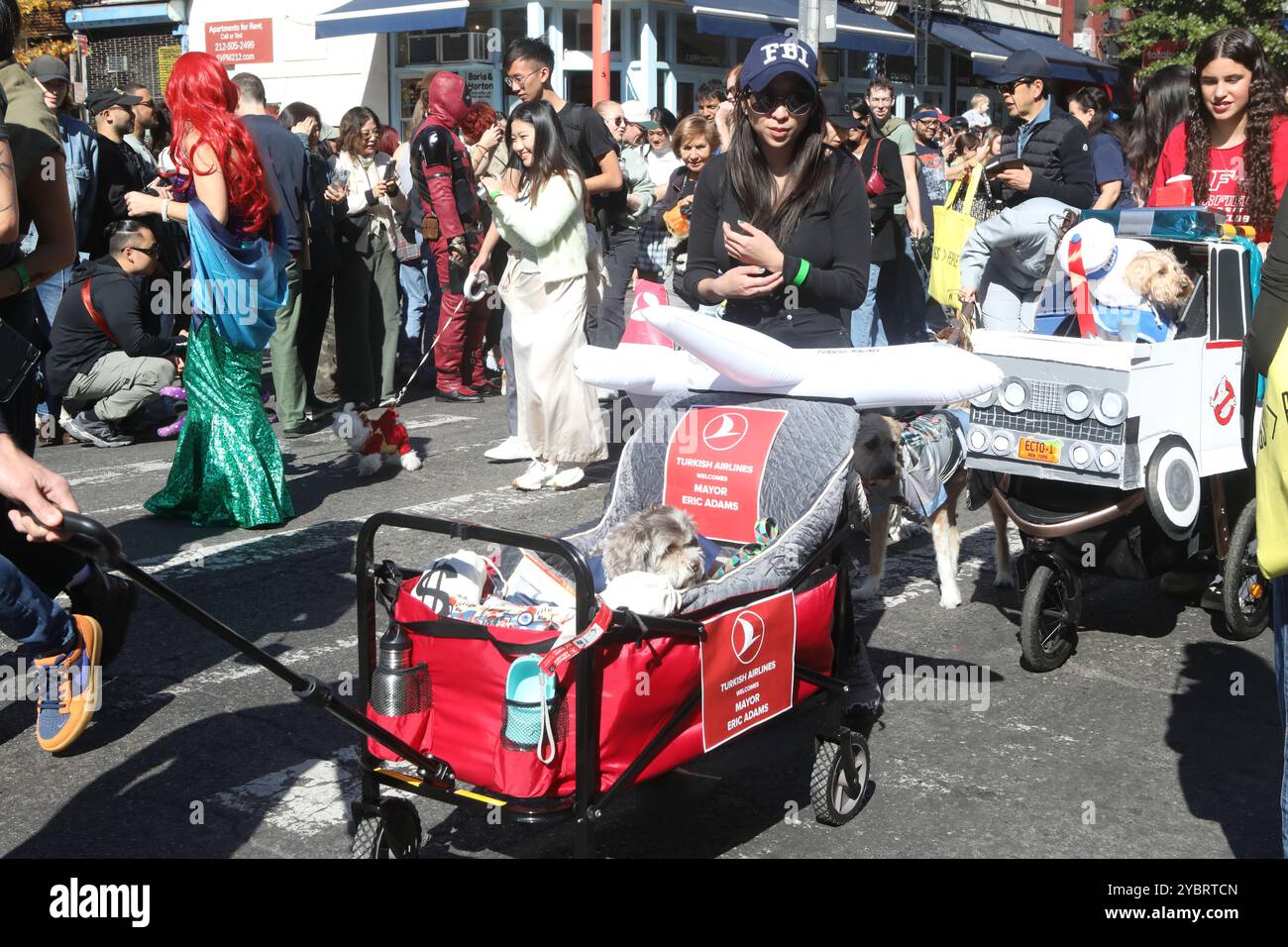 dog-in-costume-being-pulled-in-turkish-airlines-labeled-wagon-welcoming