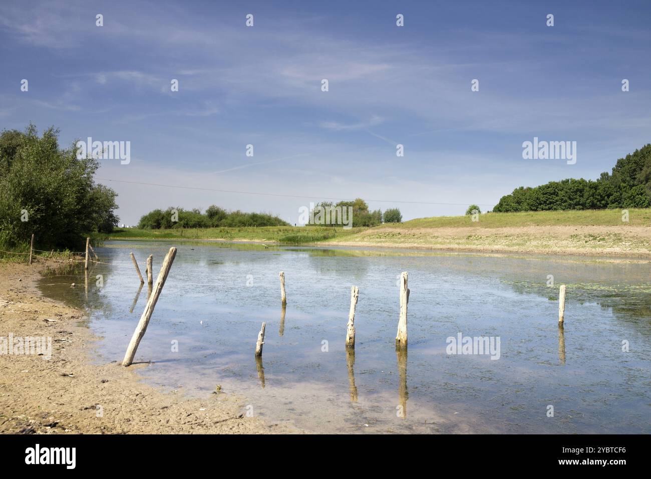 Pond in the river foreland along the river Waal near the Dutch village ...