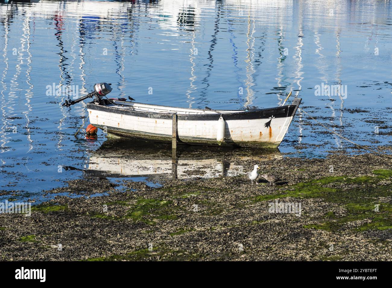 Moored boat tied up on beach hi-res stock photography and images - Alamy