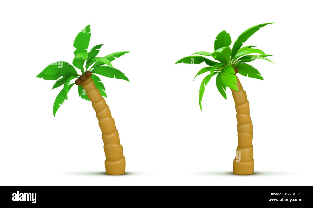 Palm tree with coconut. Realistic 3d vector illustration set of exotic tropical plant with green leaves. Jungle woods in different angles of view for Stock Vector