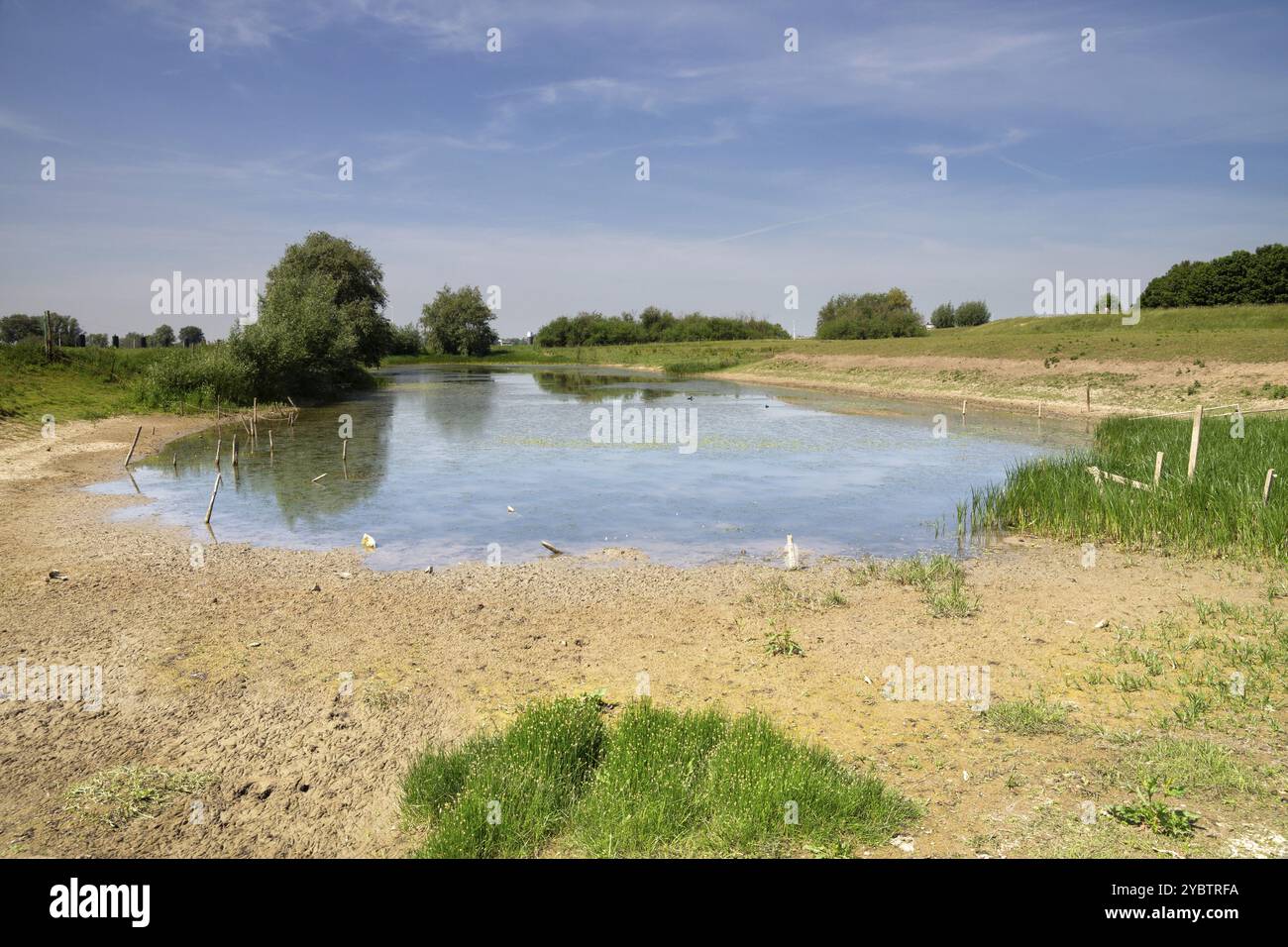 Pond in the river foreland along the river Waal near the Dutch village ...