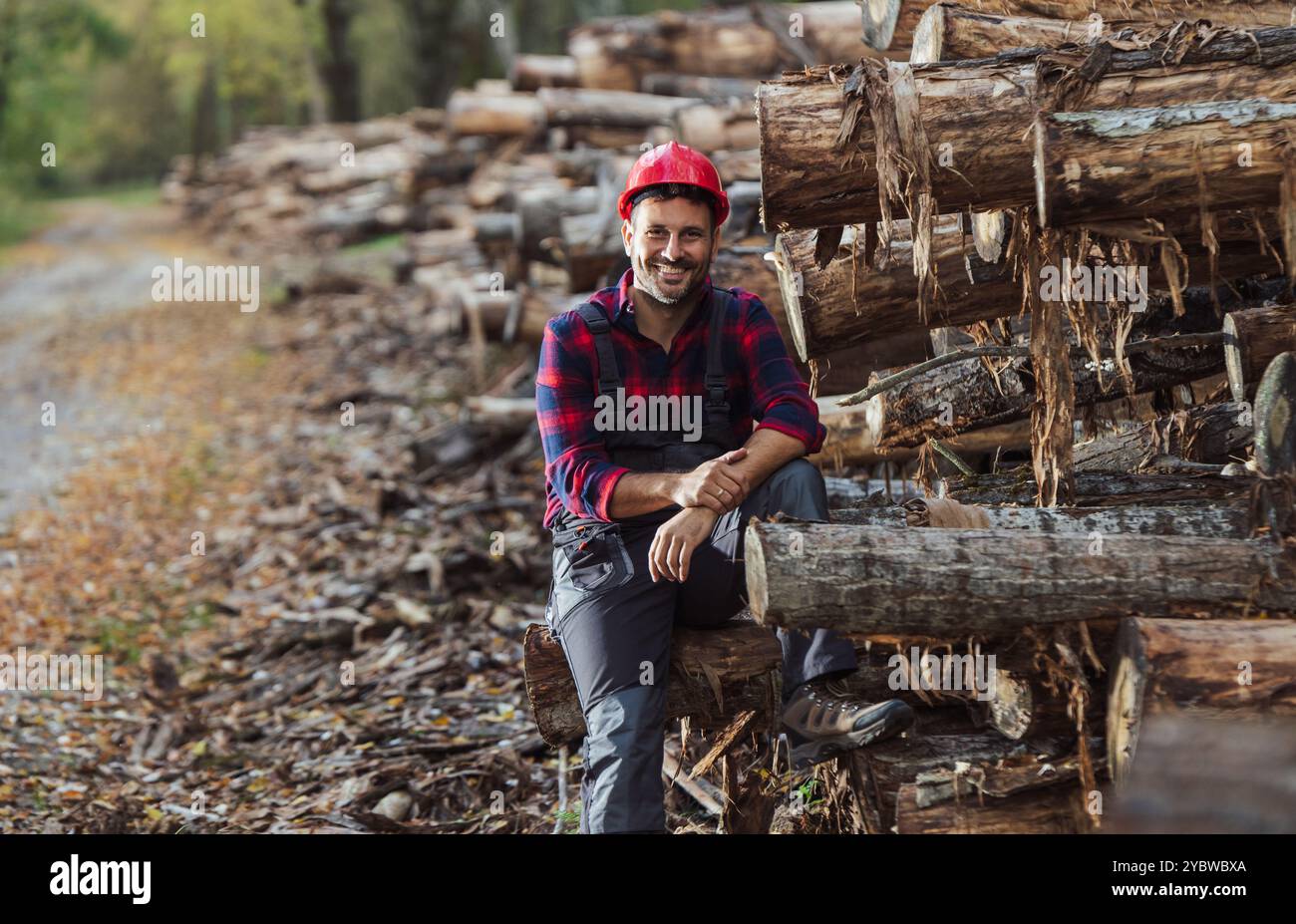 Handsome man lumberjack with helmet sitting on tree trunk stacked in forest Stock Photo