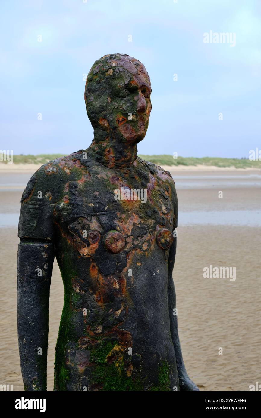 another nike bot aio