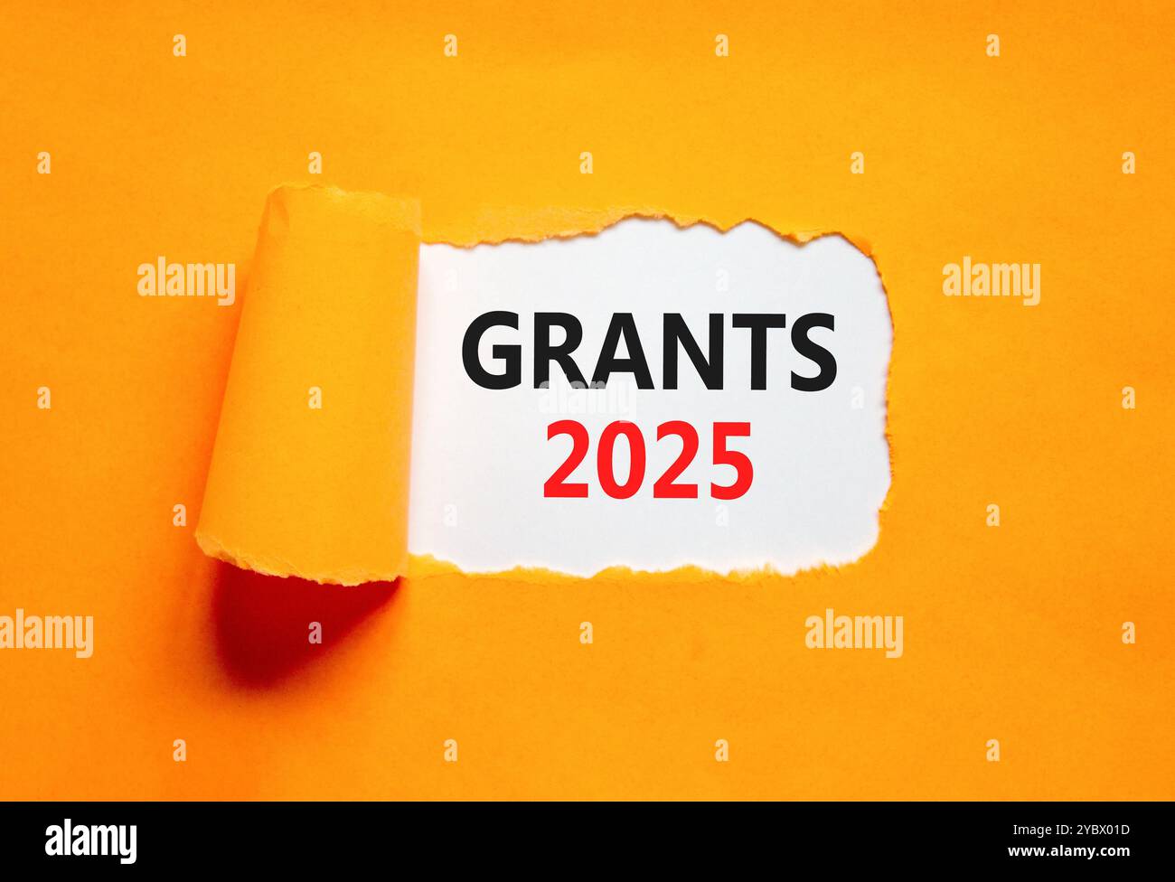 Planning grants 2025 new year symbol. Concept words Grants 2025 on beautiful white paper