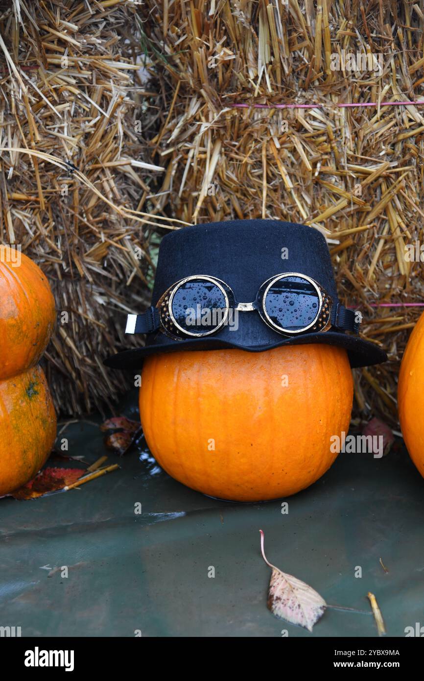 Dressed up pumpkin Stock Photo