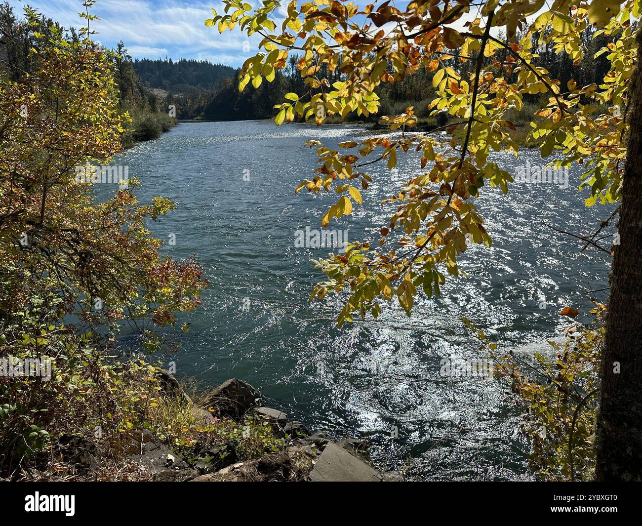 Springfield Oregon Rivers Middle of beautiful river hi-res stock photography and images - Alamy