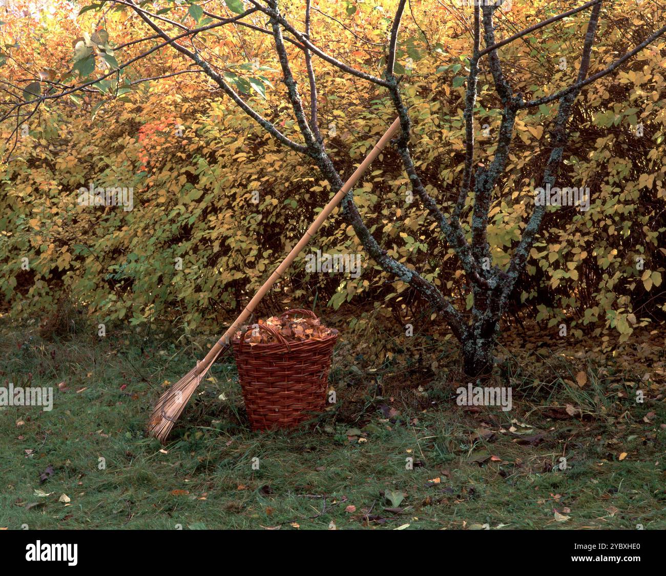 Leaf rake hi-res stock photography and images - Alamy