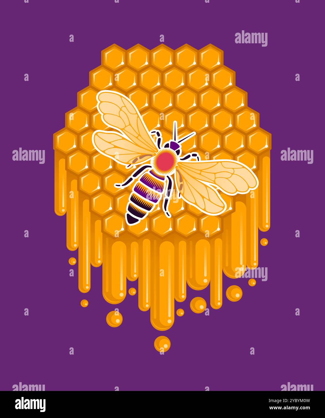 A Honey Bee at a Honeycomb Stock Vector