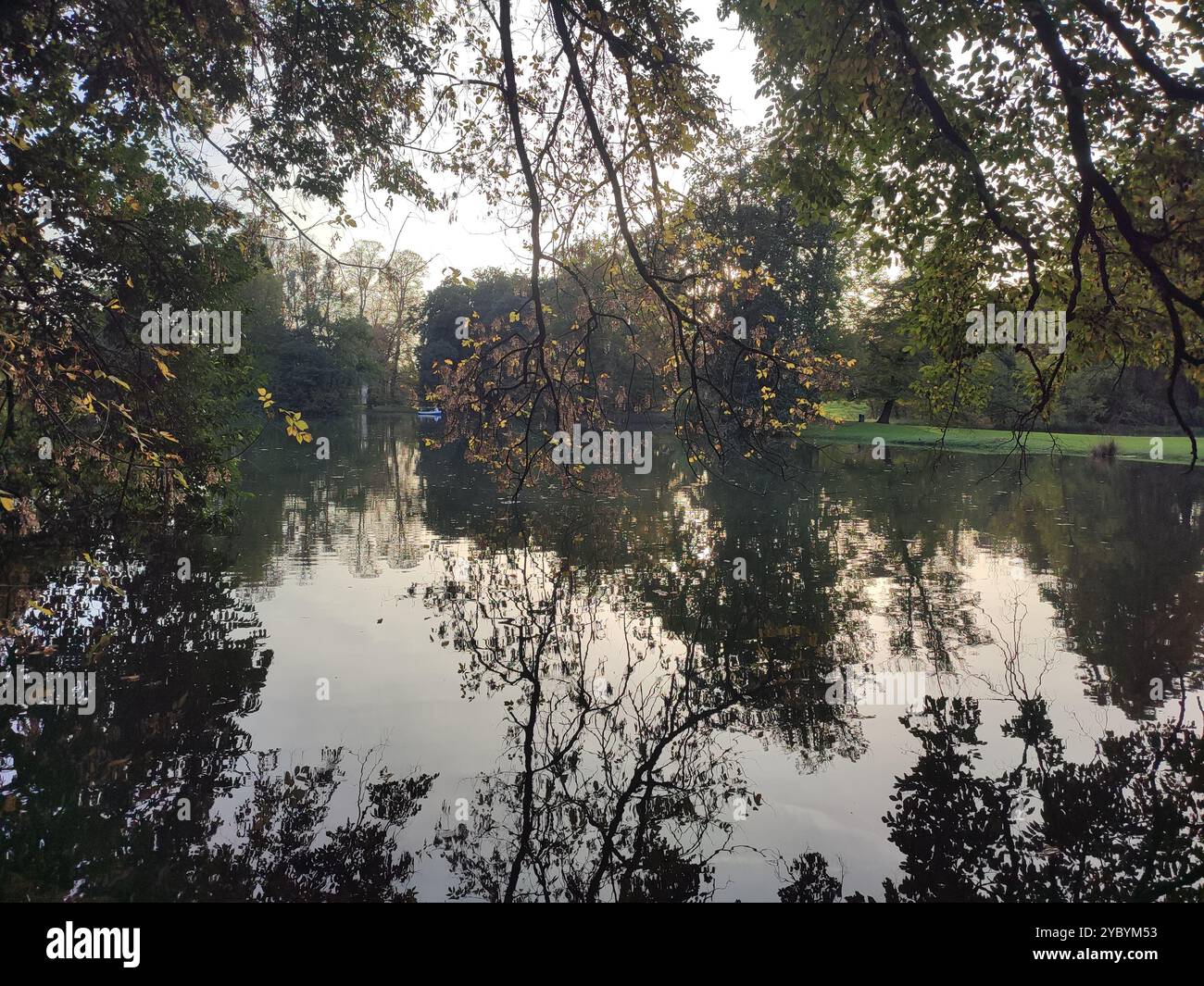 m - Smartphone Captured Stock Image