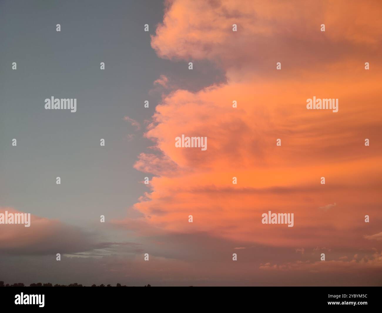 m - Smartphone Captured Stock Image