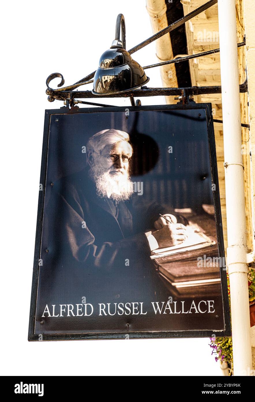 Alfred Russel Wallace pub sign, Usk, Monmouthshire, Wales, UK Stock Photo