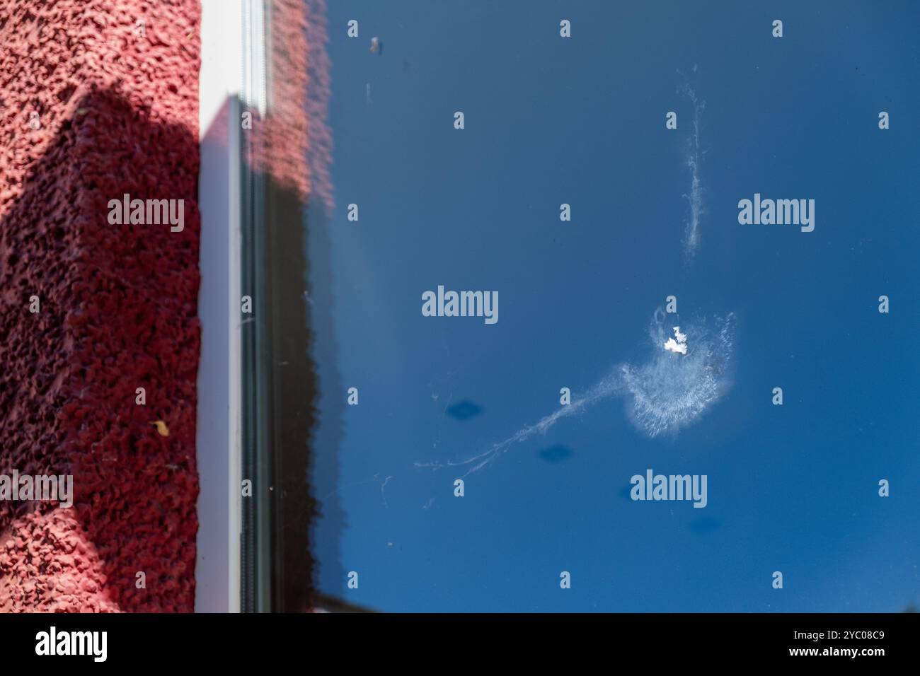 Collision mark or impact of a pigeon, against a large window of a country house. The bird has left its silhouette in the exterior glass and a remnant Stock Photo