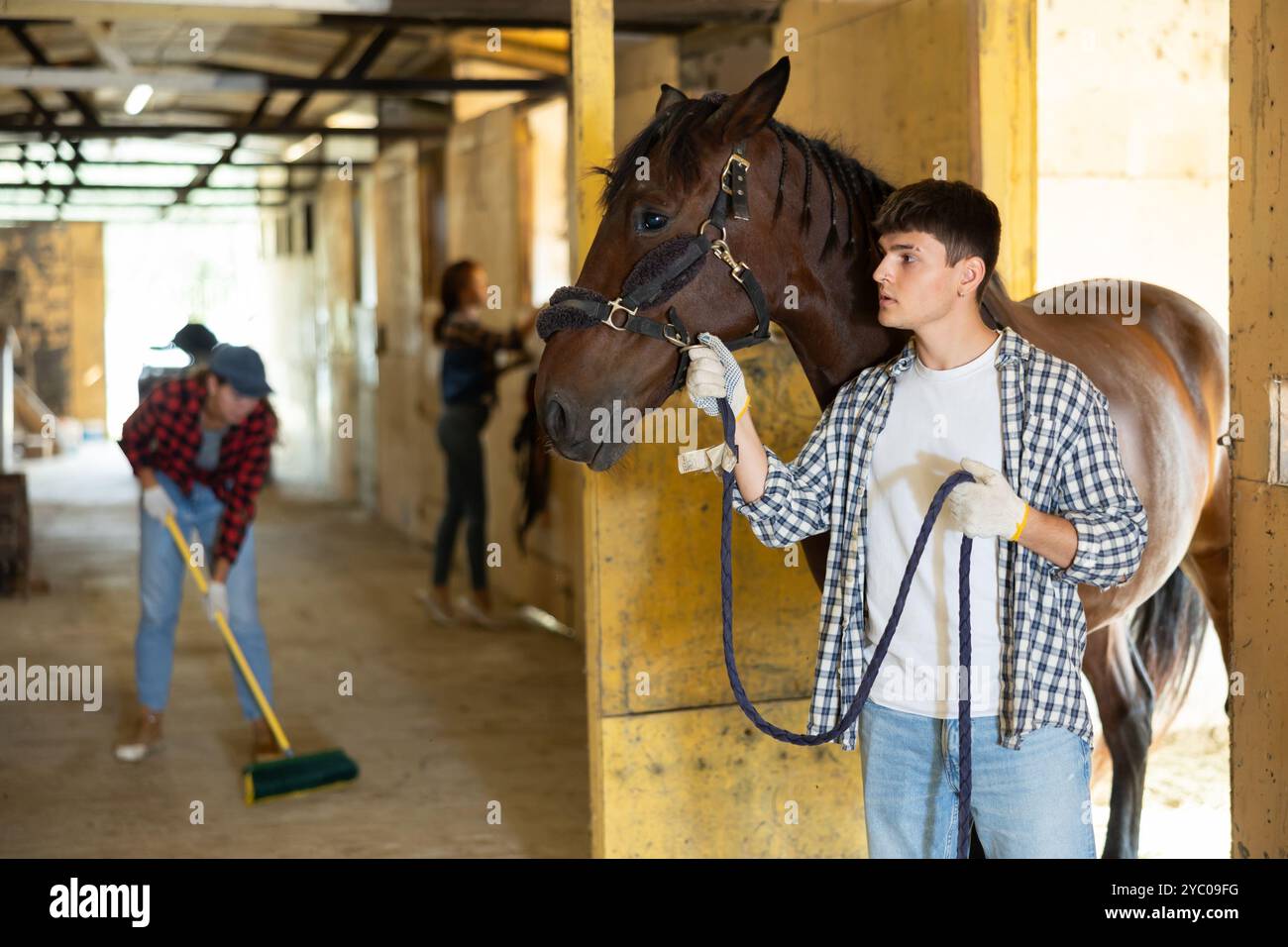 Young stable worker leads horse out of its stall by bridle Stock Photo ...