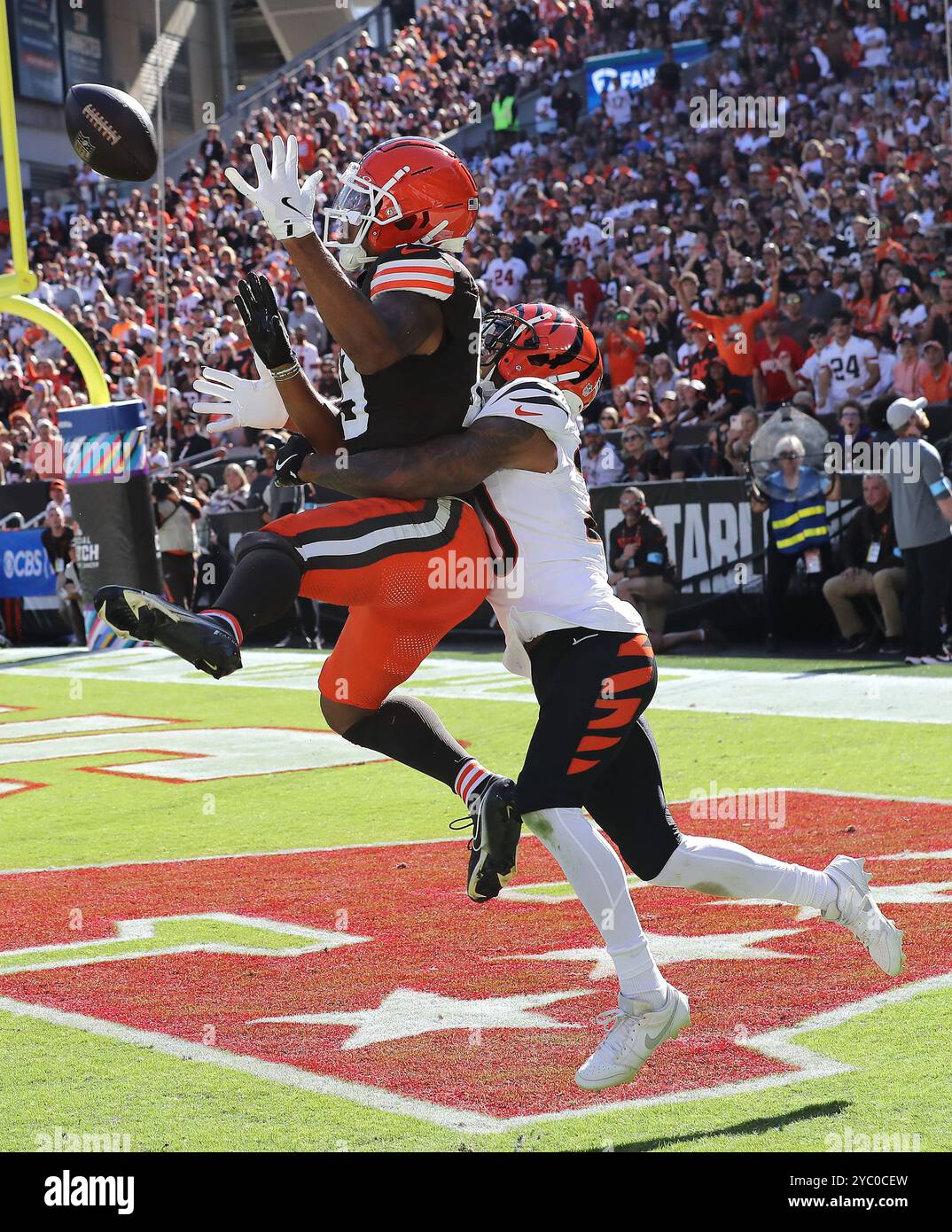 Cleveland, United States. 20th Oct, 2024. Cleveland Browns Cedric Tillman (19) is interfered with by Cincinnati Bengals DJ Turner II (20) in the first half at Huntington Bank Field in Cleveland, Ohio on Sunday October 20, 2024. Photo by Aaron Josefczyk/UPI Credit: UPI/Alamy Live News Stock Photo