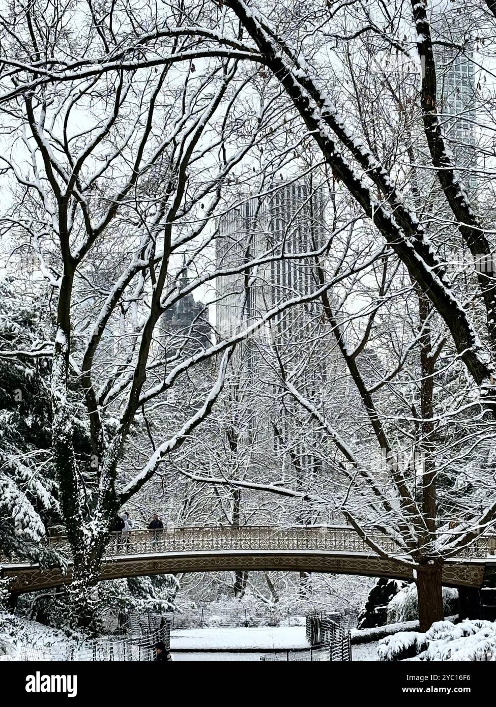 Snow in the city - Smartphone Captured Stock Image