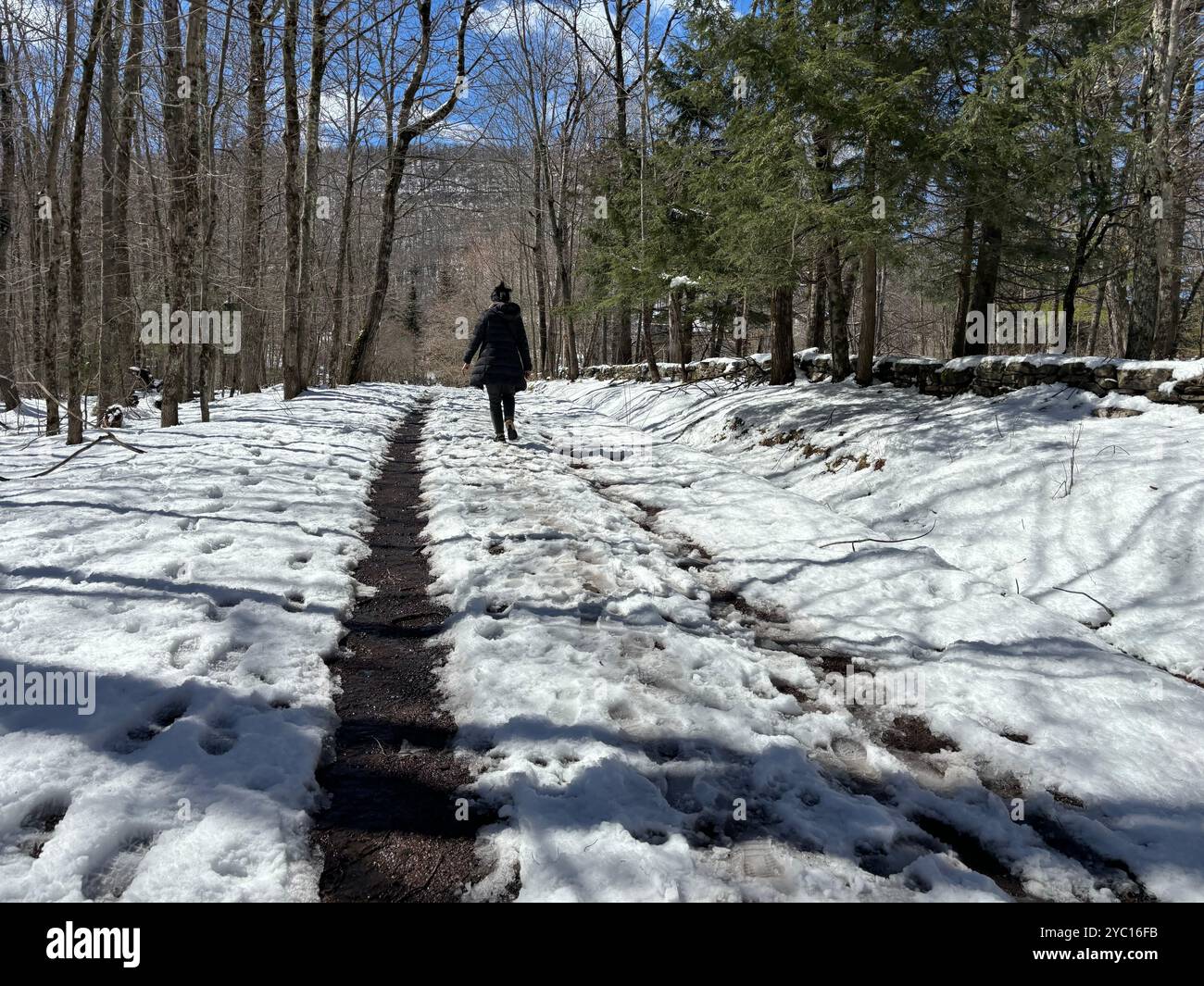 Snow in the city - Smartphone Captured Stock Image