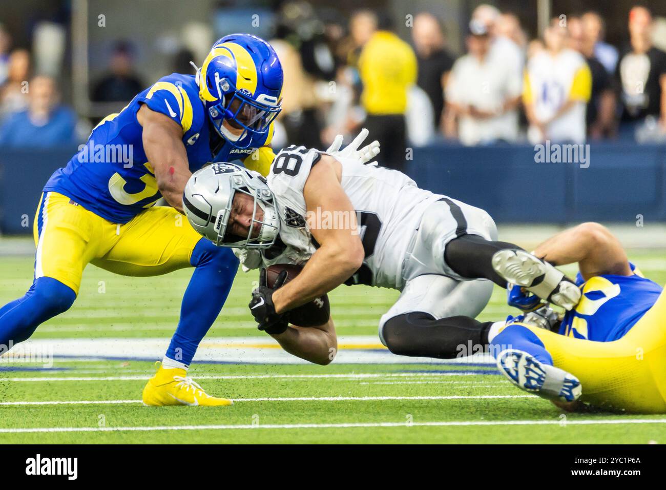 Christian rozeboom rams hi-res stock photography and images - Alamy