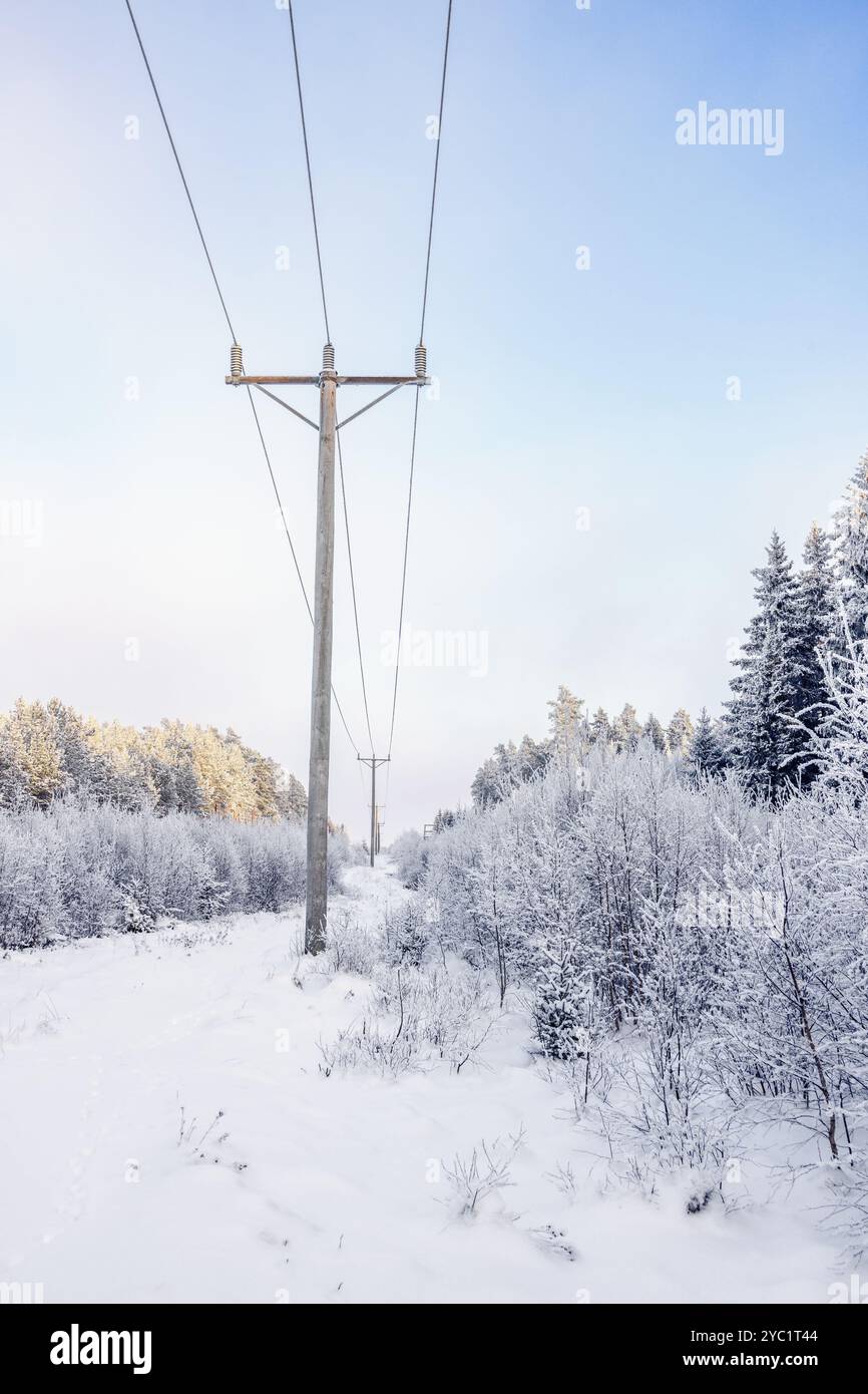 Power line in a frosty forest landscape Stock Photo - Alamy