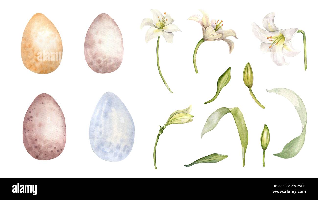 Easter set with white lilies and eggs in pastel colors. Flowers and ...