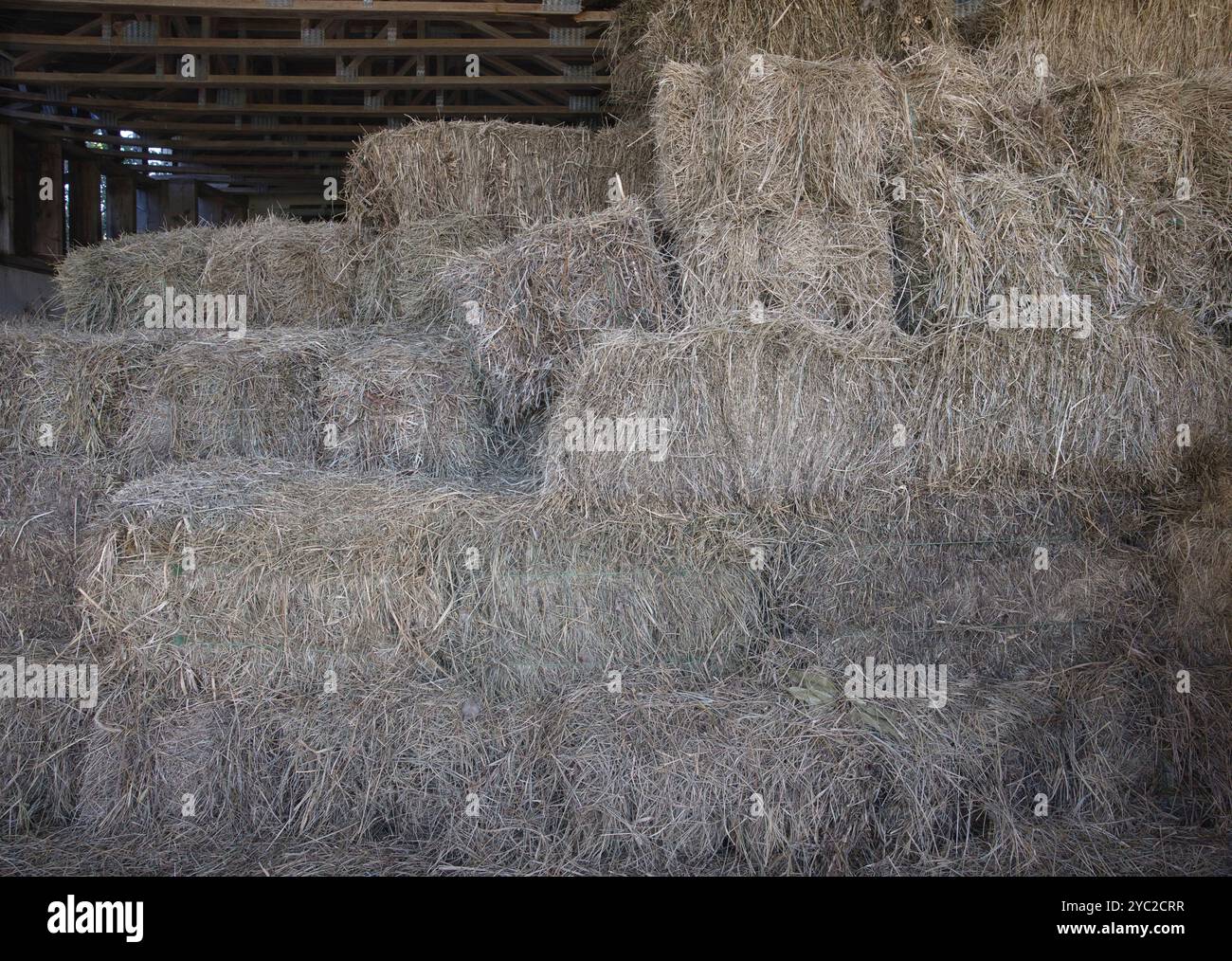 Picture of Dried hay hi-res stock photography and images - Alamy